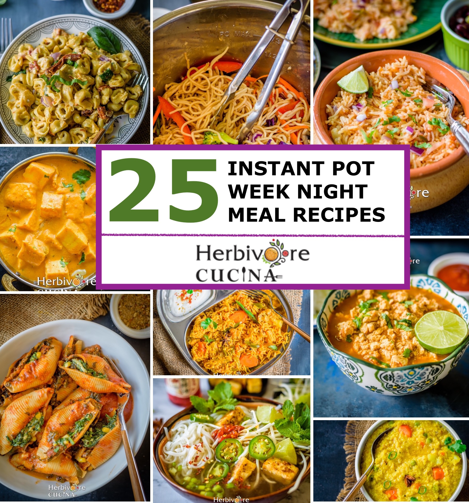 25 instant best sale pot recipes