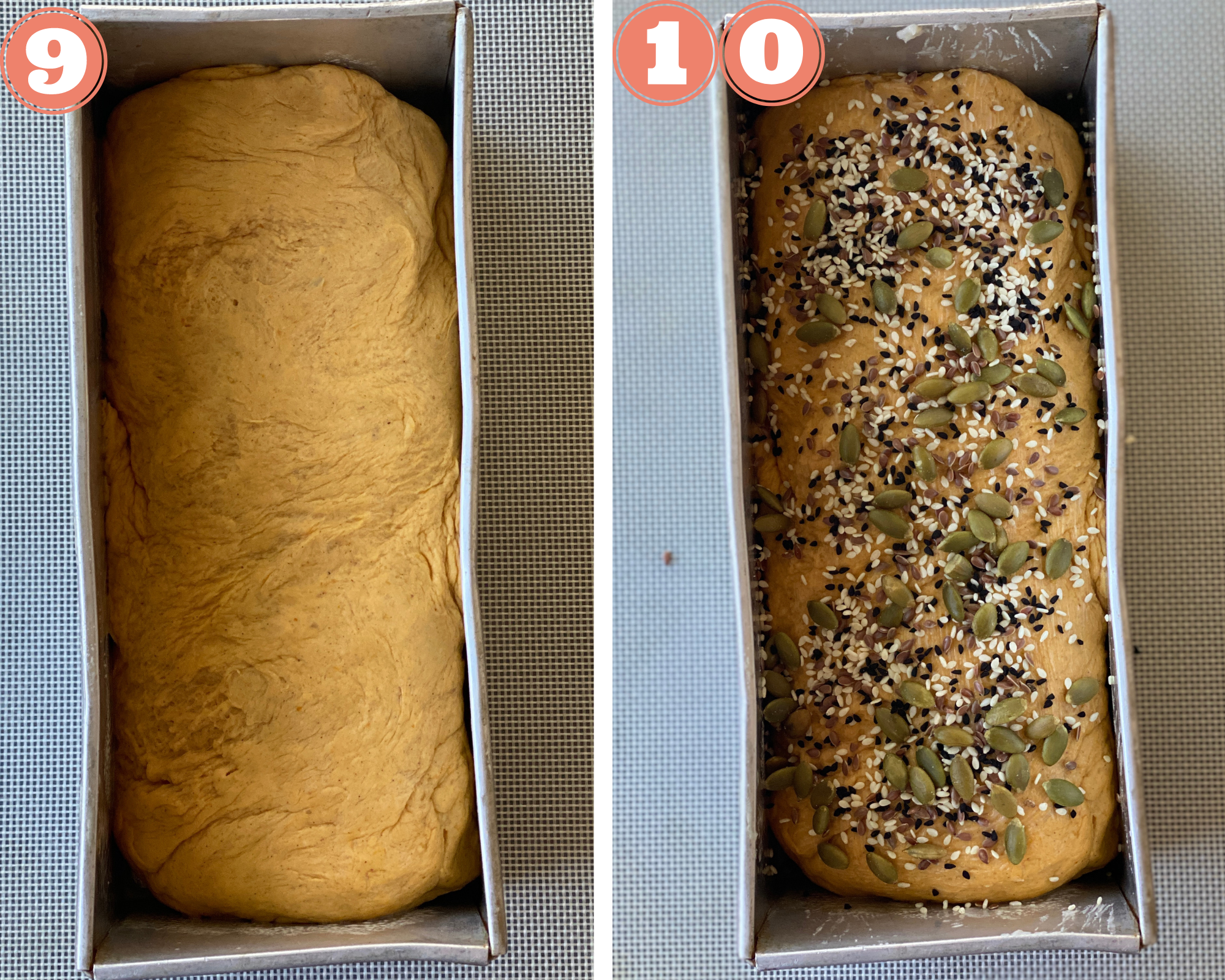 Collage steps to make Pumpkin Bread; roll into a tight loaf and transfer to a greased pan; spread seeds on top. 
