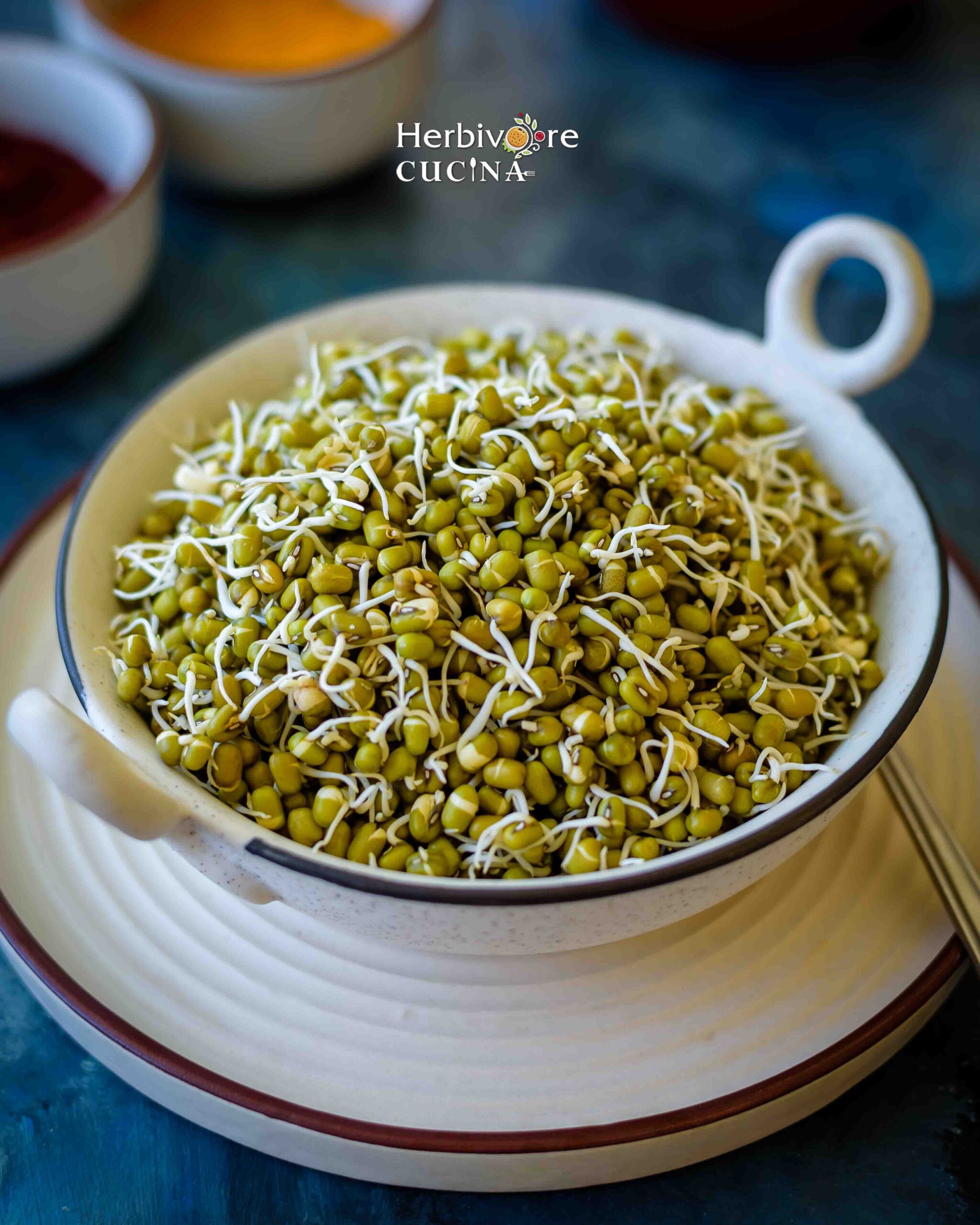 Side view of sprouted moong beans in a white bowl with a white plate below it. 