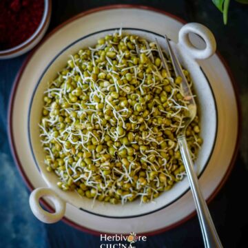 Top view of sprouted moong beans in a white bowl with a fork on the side.