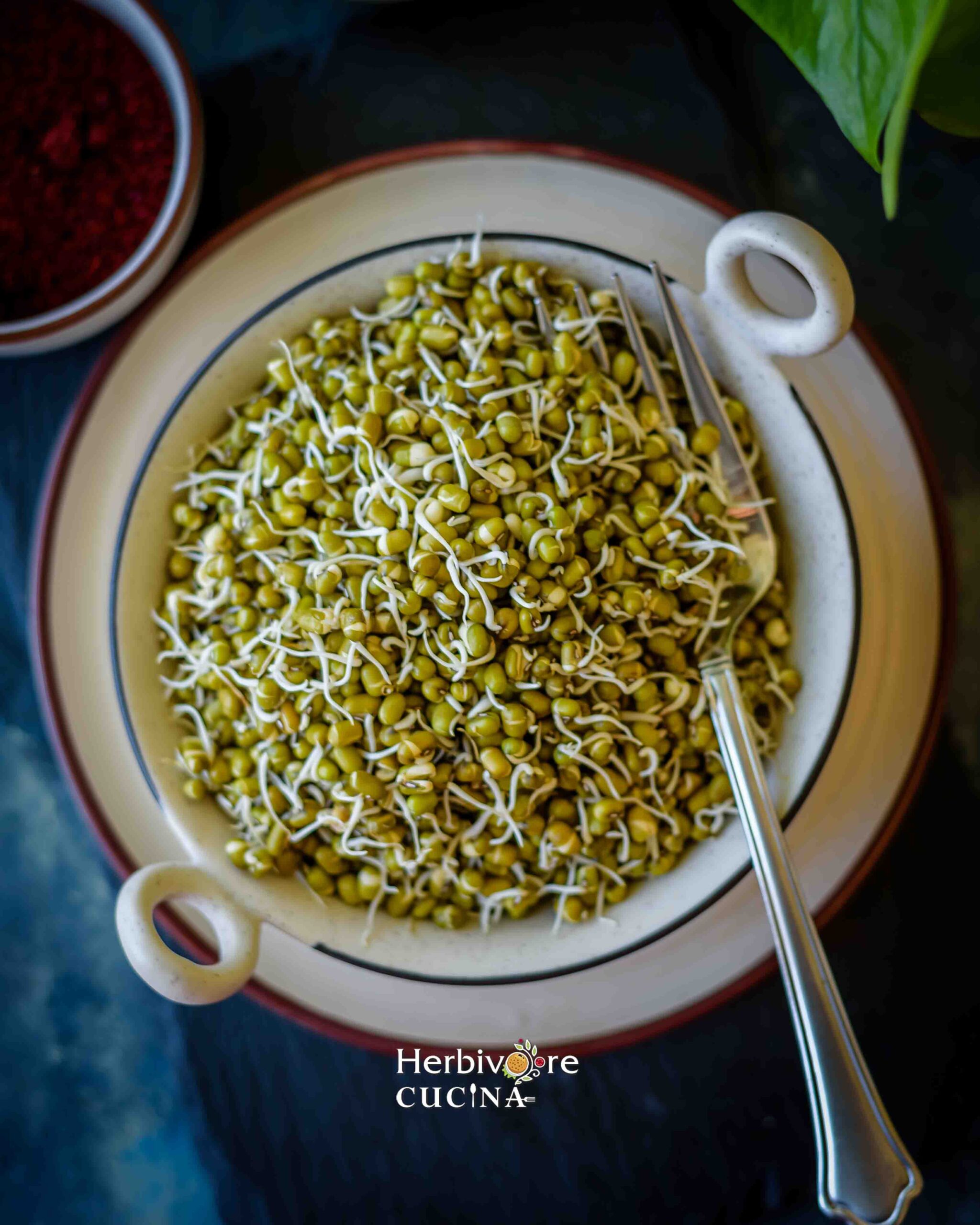 Top view of sprouted moong beans in a white bowl with a fork on the side. 