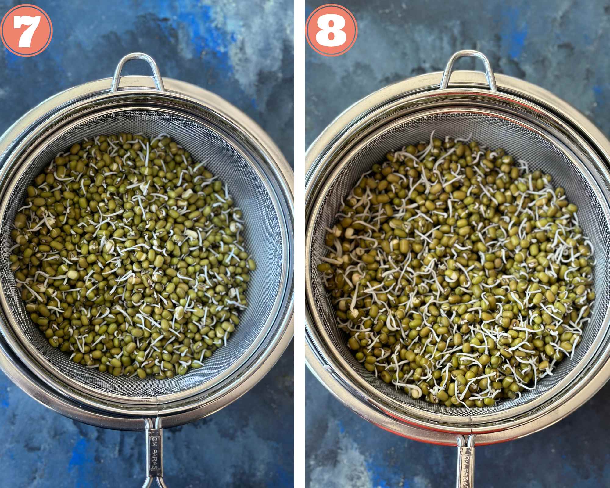 Collage steps to make moong sprouts; place in a warm spot and check in 24 hours. 