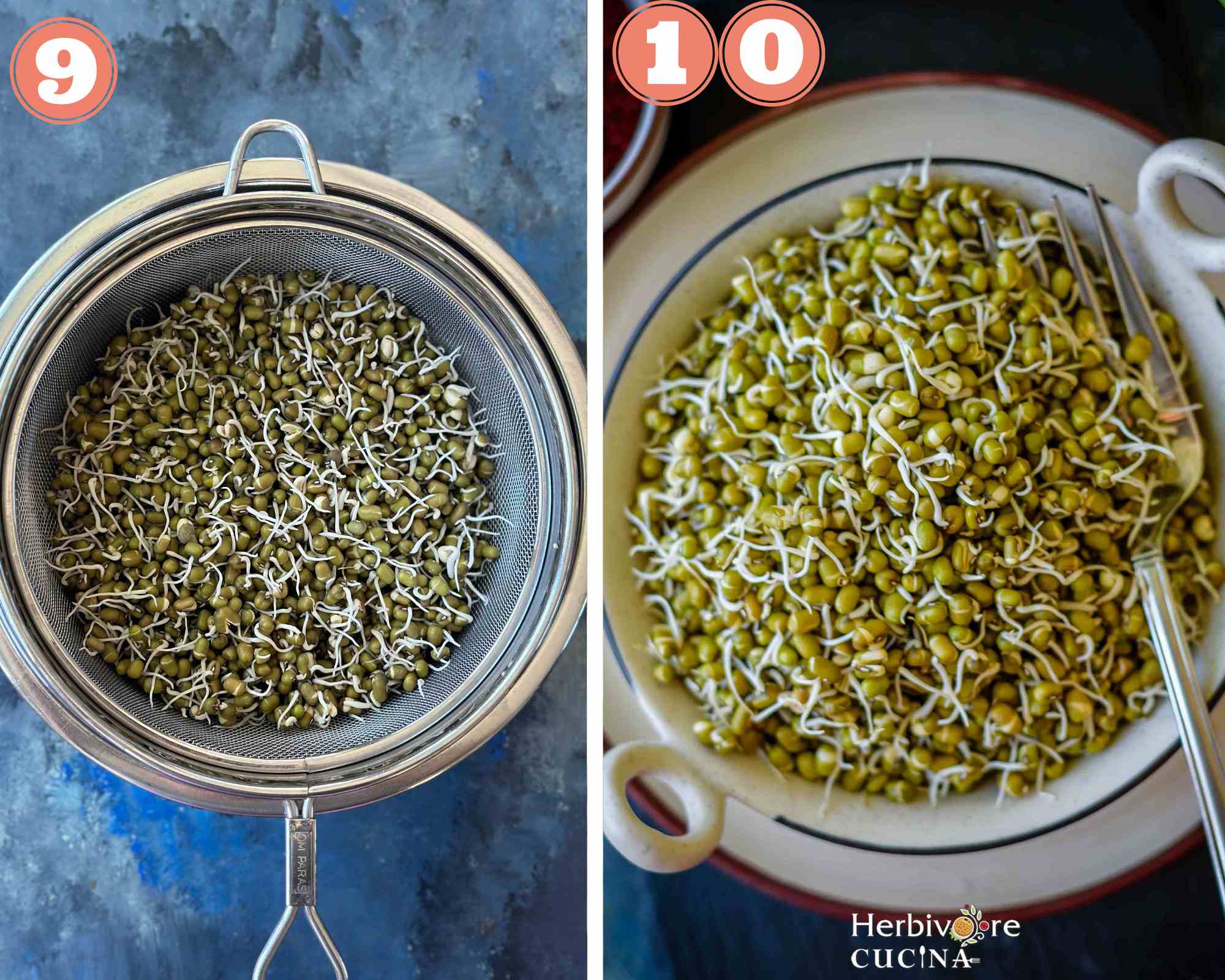 Collage steps to make moong sprouts; sprout further and store in the refrigerator. 