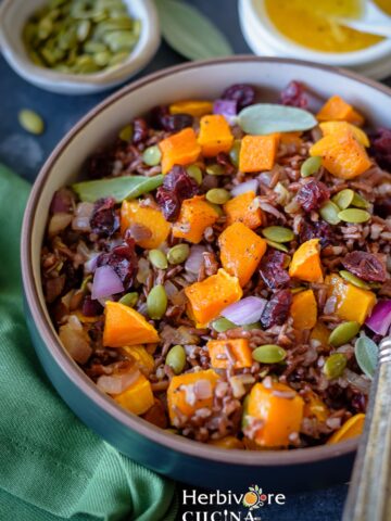 A bowl filled with red rice and butternut squash pilaf, topped with pepitas and cranberries.